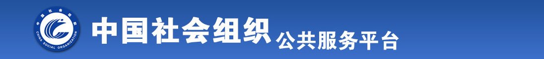 T欧美男同性恋大毛求全国社会组织信息查询